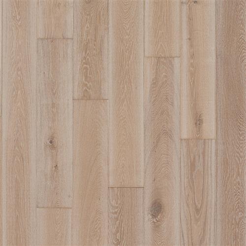 Latitude Collection - Prospect Park - Breeze