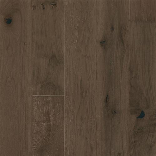Latitude Collection - Park City - Olympic