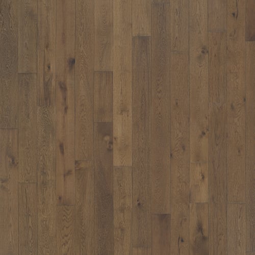 Latitude Collection - Latitude Collection - Trail