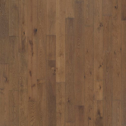 Latitude Collection - Latitude Collection - Trail