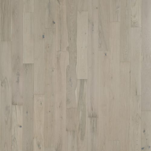 Latitude Collection - Park City - Wintry
