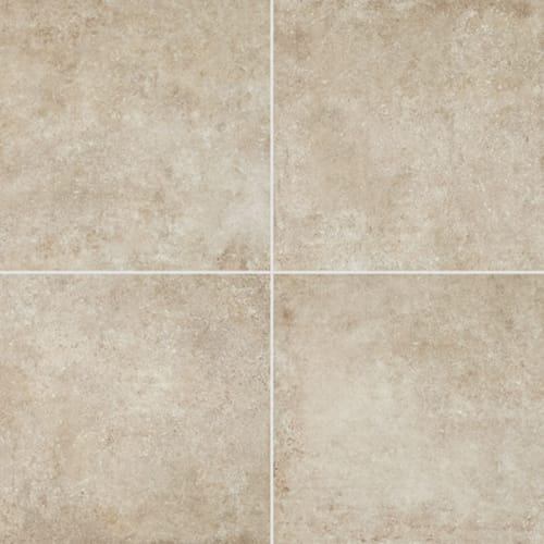 Historic Limestone - Native-12X24-Matte