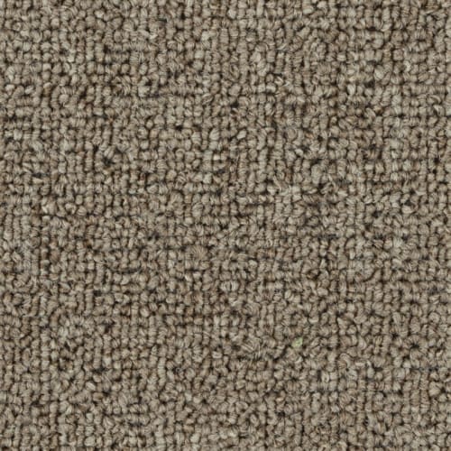 Mainstreet Innofibe - Invasion Iv Base - Light Coffee