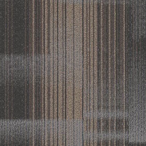 Appeal - Light Stream