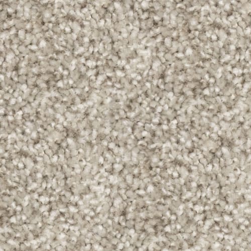Nyluxe Petguard Tri Twist - Prodigy - London Morning