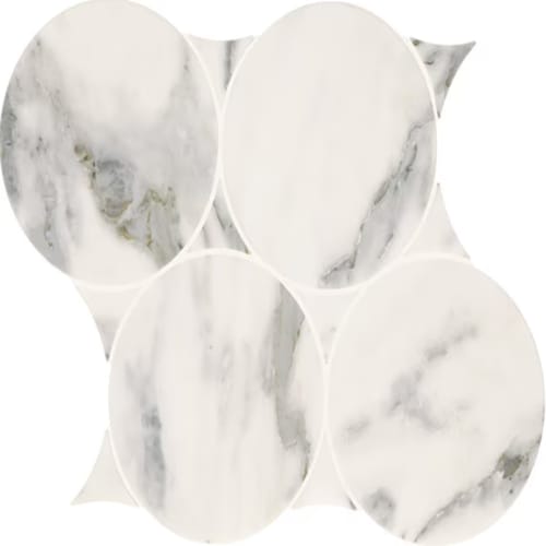 Eclessia Marble - Arabescato Argento Circle