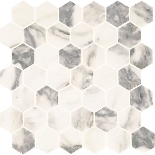 Eclessia Marble - Arabescato Argento Hexagon