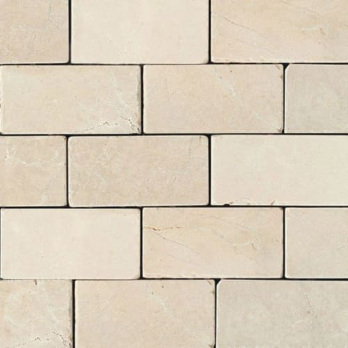 Marble - Crema Marfil Cl-12X24-Honed