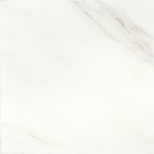 Mirasol - Bianco Carrara-24X24