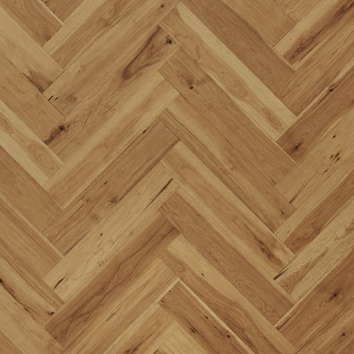 Maison Collection - Provence Hb - Champagne