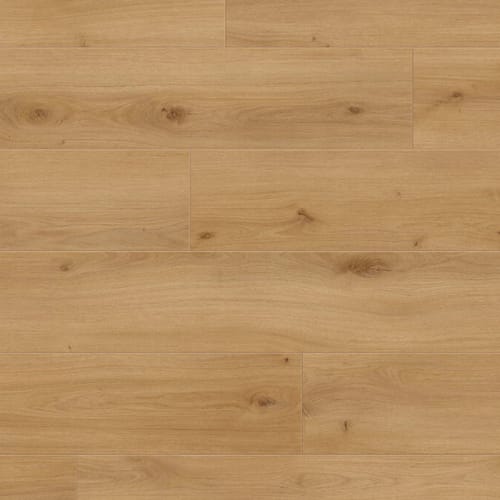 Avenue - Melrose Oak