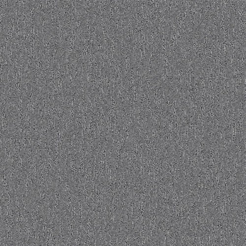 Nyluxe Petguard - Spiderweb - Midnight Train