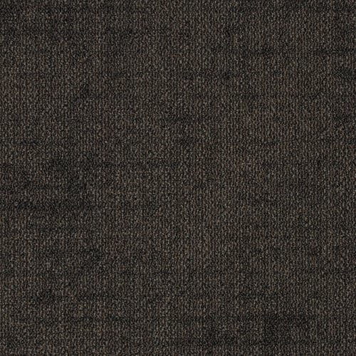 Integral - Minotaur