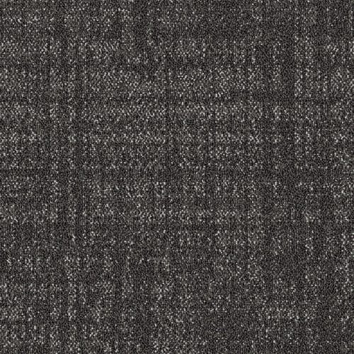 Quadra - Mysterious Taupe