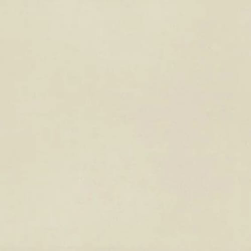 Neoconcrete - White-12X24-Matte