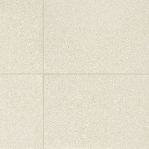 Neospeck - White-12X24-Matte