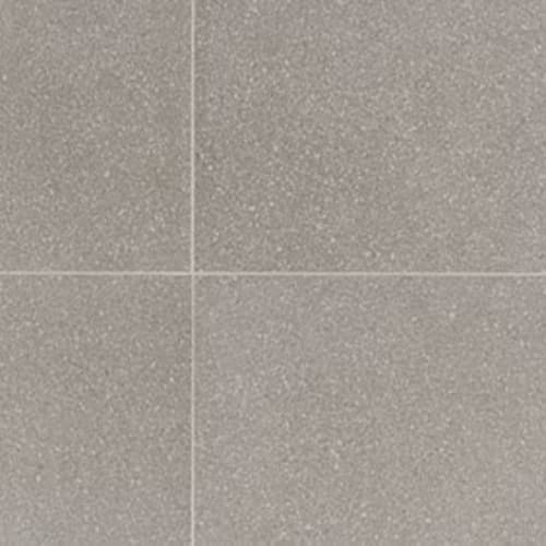 Neospeck - Light Gray-24X24-Matte