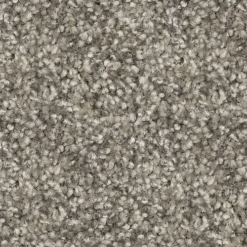 Nyluxe Petguard Tri Twist - Prodigy - Old Silver