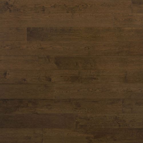 Designer Collection - Old York