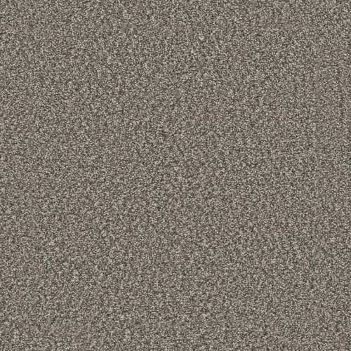Windy City Ii - Olivewood