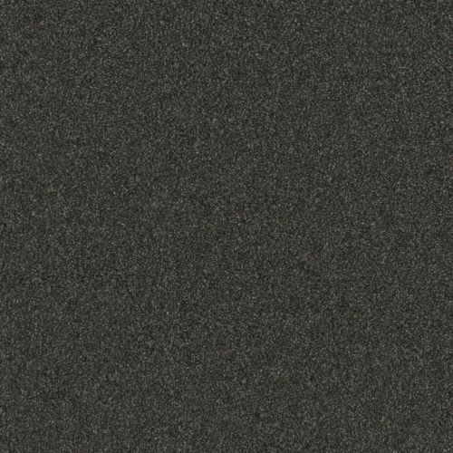 Gold Standard Ii - Onyx