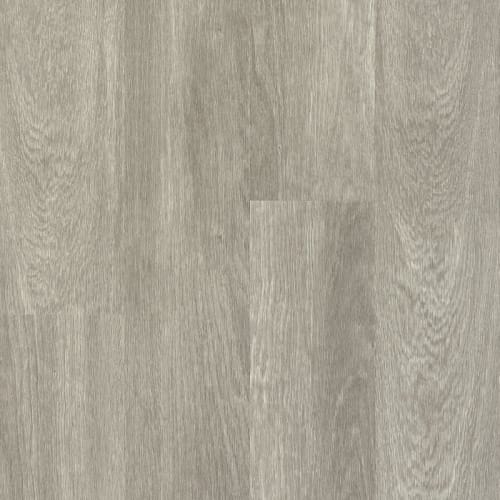 American Personality Pro Pembroke Oak - Silver Surf 6.5" X 48"