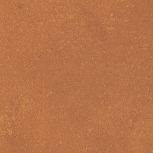 Portfolio - Vivid - Orange Burst