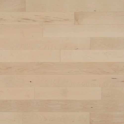 Pure Hard Maple - Solid - Boreal