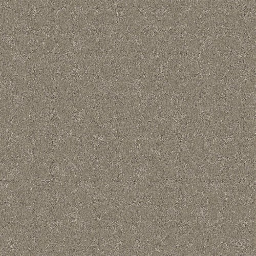 Nyluxe Petguard - Cloudscape - Partridge Brown