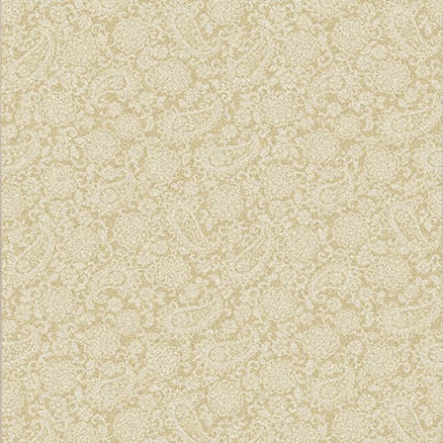 Petal - Daffodil