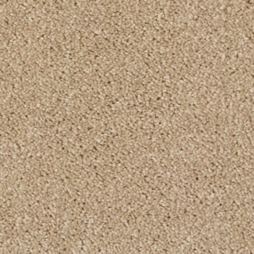 Tryesse - Spartacus - Provincial White