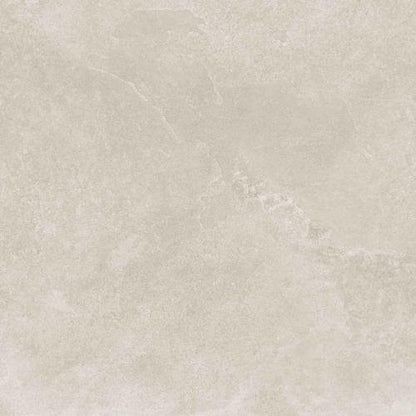 Realstone Slate - Shell - 24 X 24