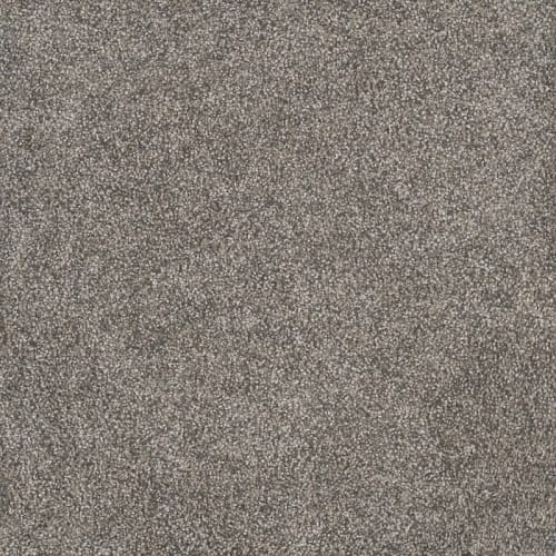 Rustic Retreat I - Dried Sage