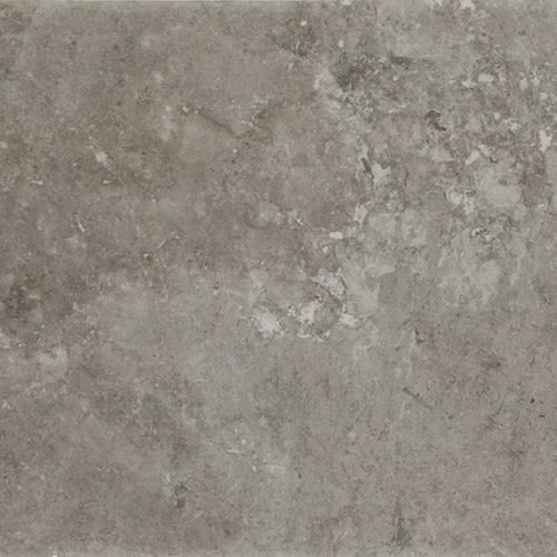 Scripter - Rebel 24X24