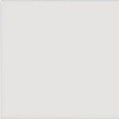 Wall ArtFloor Art - Biscuit Glossy - 3X6