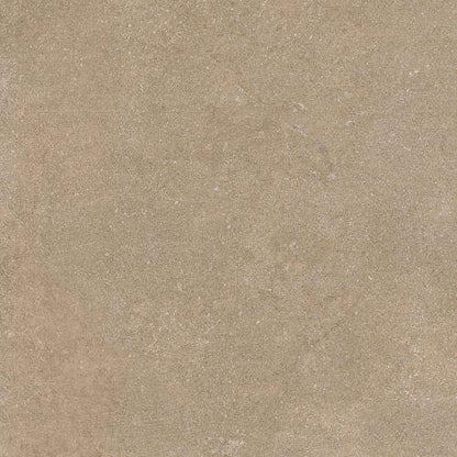 Newcon - Taupe - 12 X 24