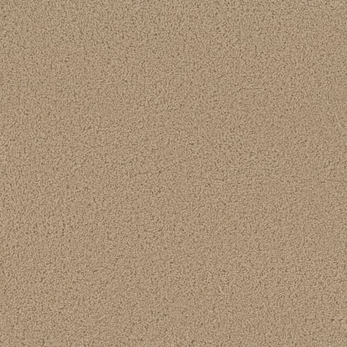 Sp250 - Cookie Dough