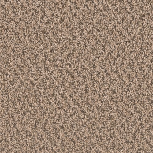 Sp250 - Fossil