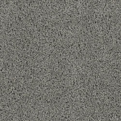 Sp250 - Bayside