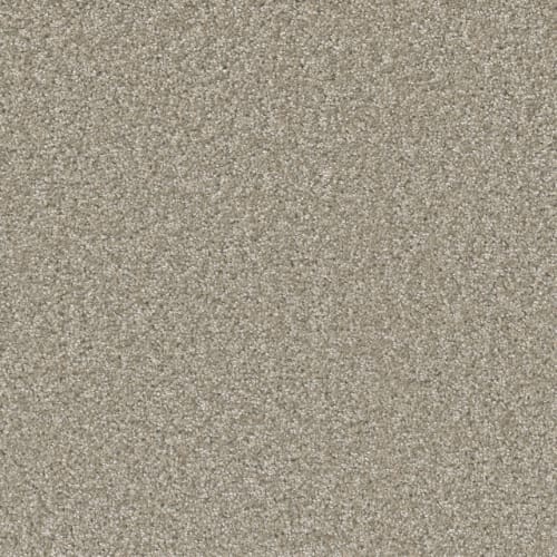 Sp251 - Clam Shell