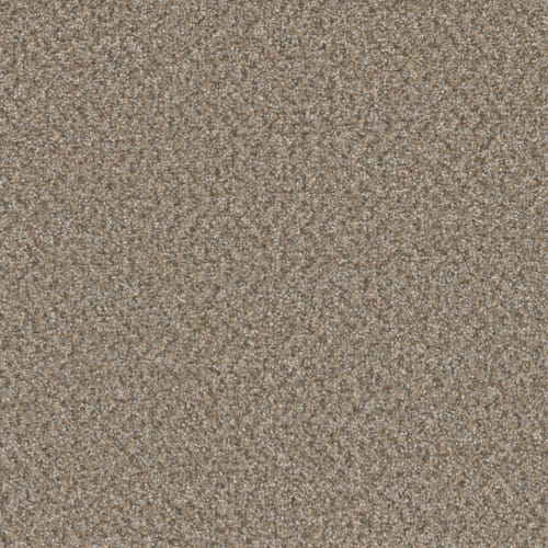 Sp251 - Siesta