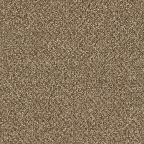 Sp251 - Aged Leather