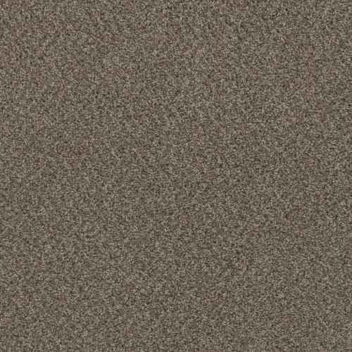Sp251 - Desert Jasper