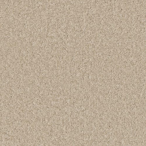 Sp251 - Light Bisque