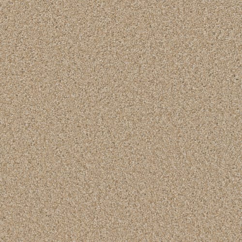 Sp251 - Frosted Clay