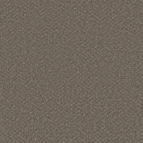 Sp251 - Field Slate