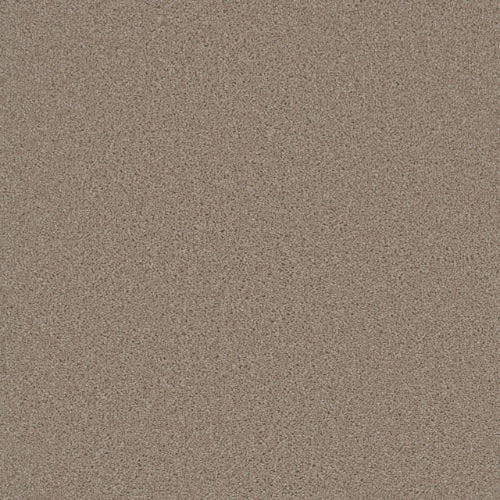 Sp251 - Flax Beige