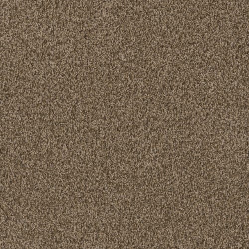 Sp251 - Shimmer