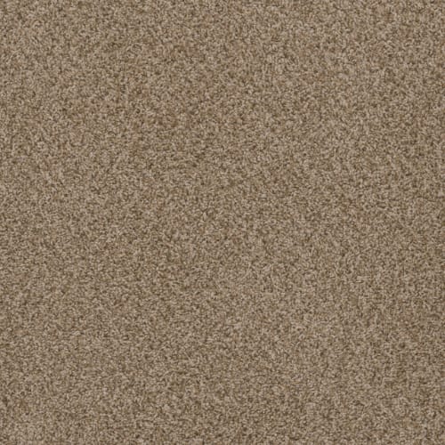 Sp251 - Sandlot