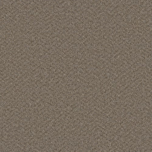 Sp251 - Cinder